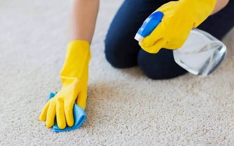 how to freshen carpet