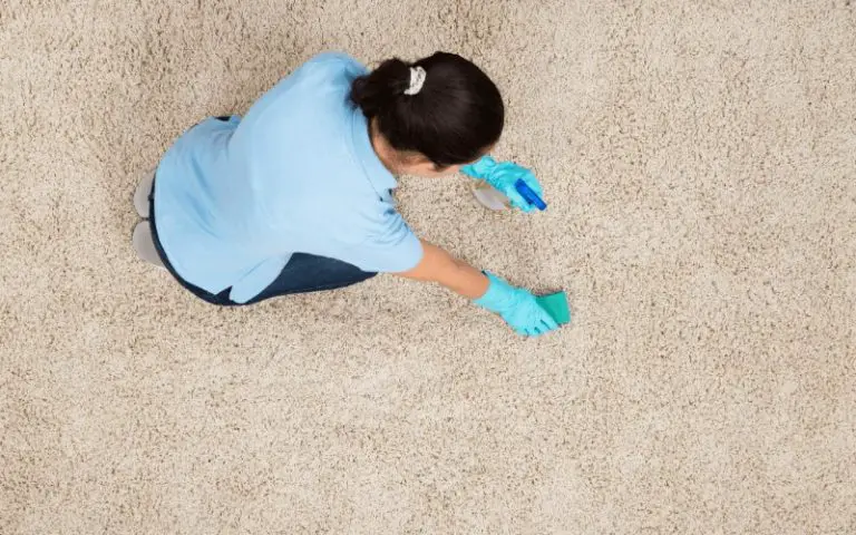 how-to-get-nail-polish-out-of-carpet-nail-polish-on-carpet-get-nails