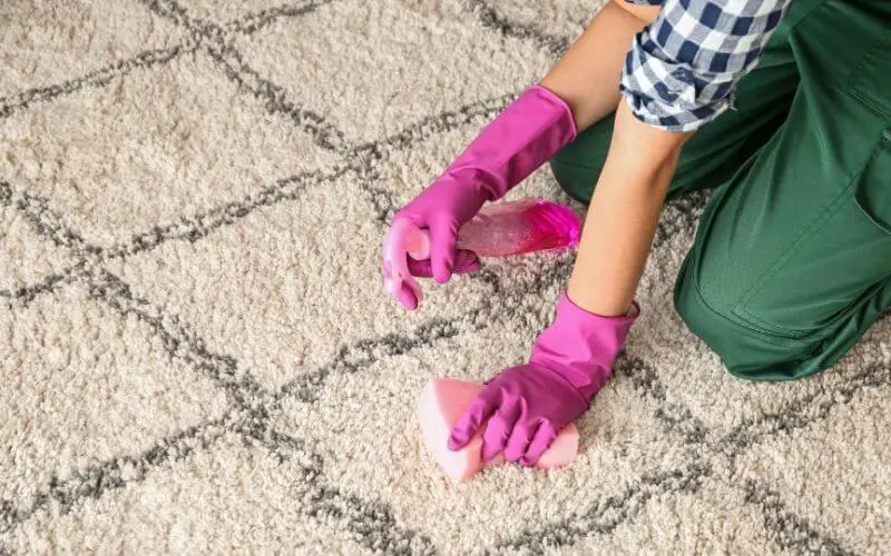 lady cleaning dirt off carpet