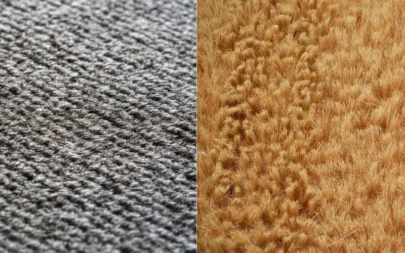 nylon or polyester carpet
