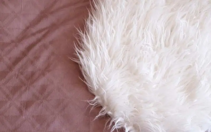 how to clean a white rug