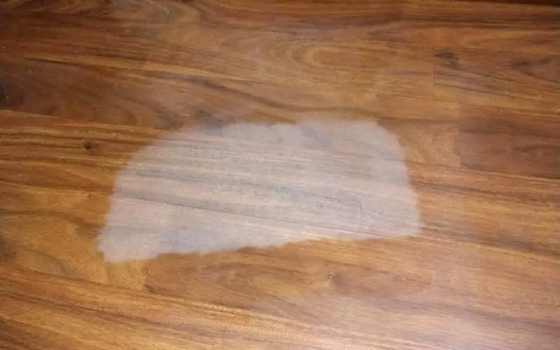 laminate floor discoloration under rug