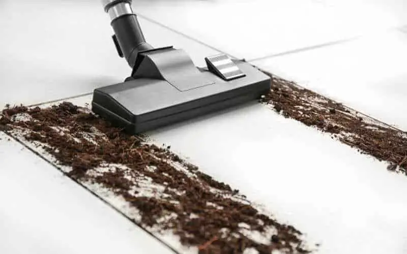 vacuuming a cowhide rug