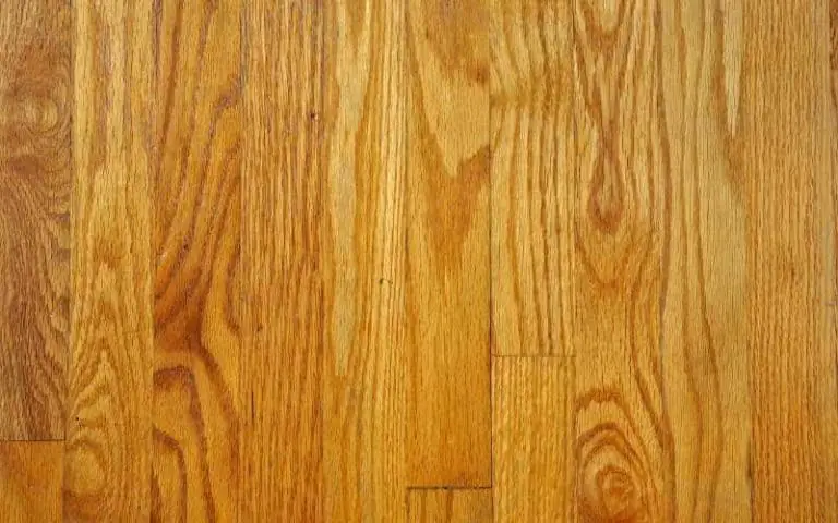 Is Aspen a Hardwood? (6 Great Advantages)