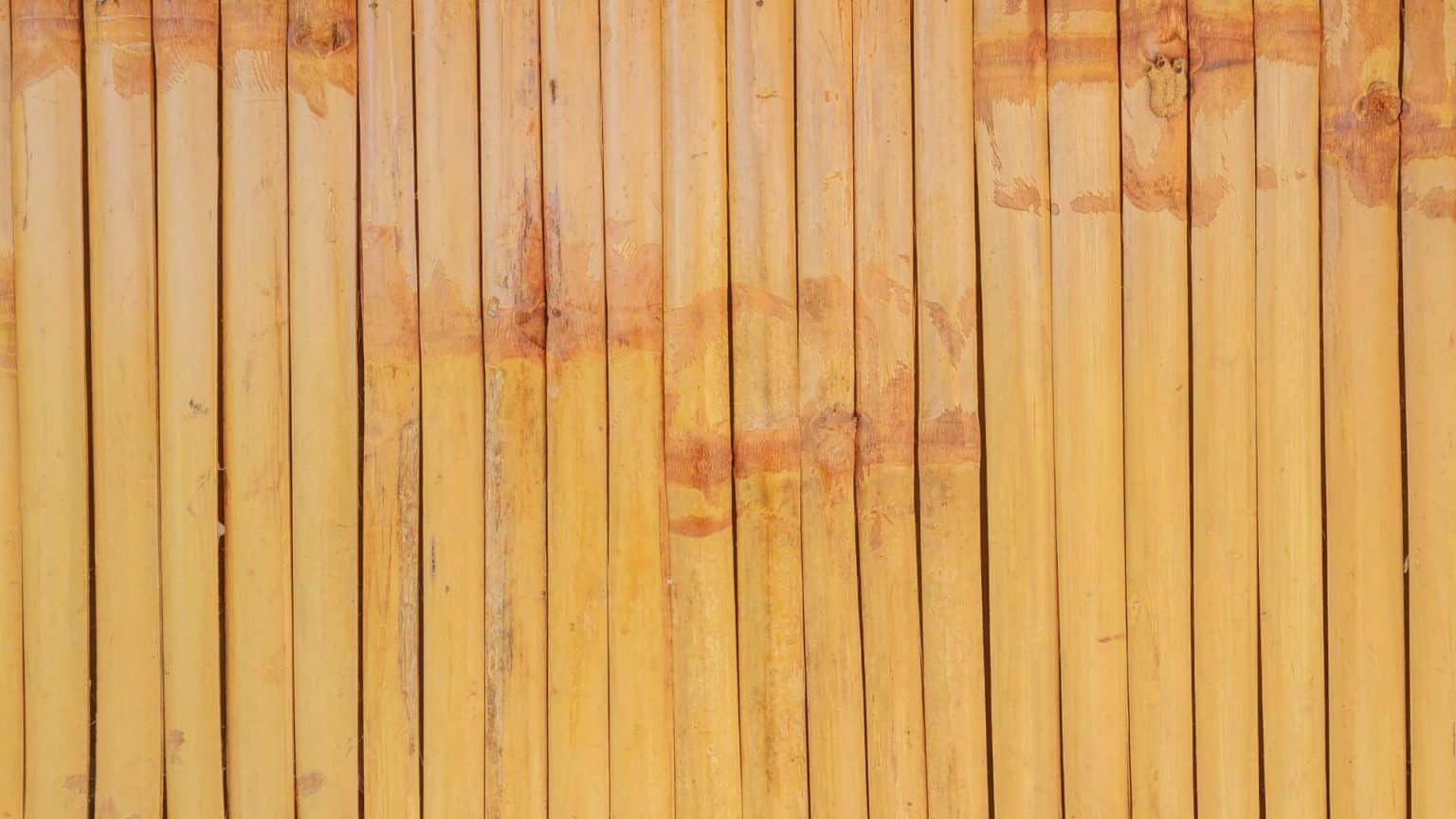 Facts About Bamboo Floors (10 Powerful Facts)