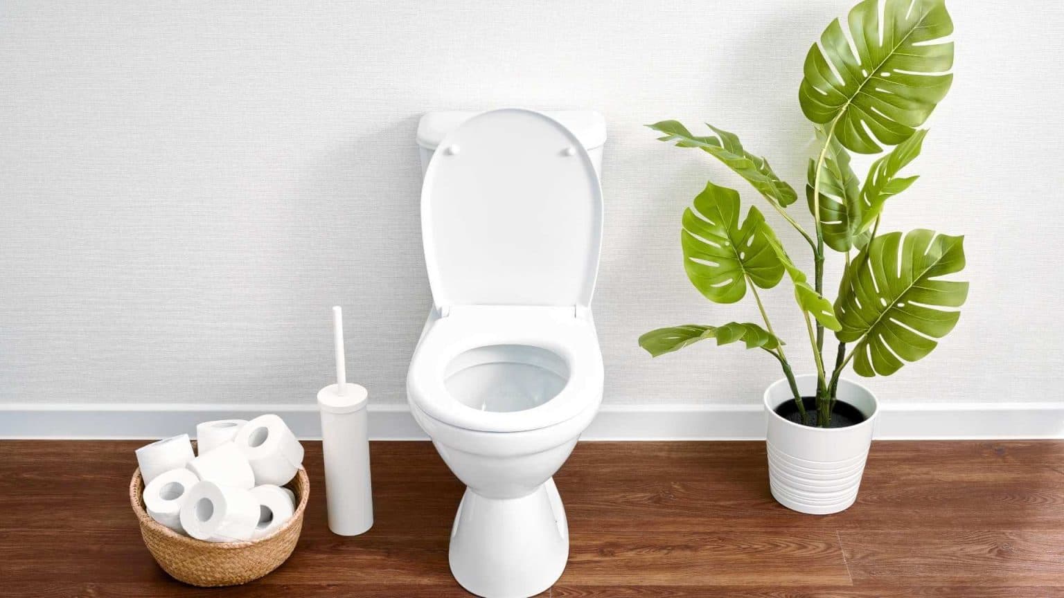 How to Protect Wood Floors Around Toilet (5 Great Ways)