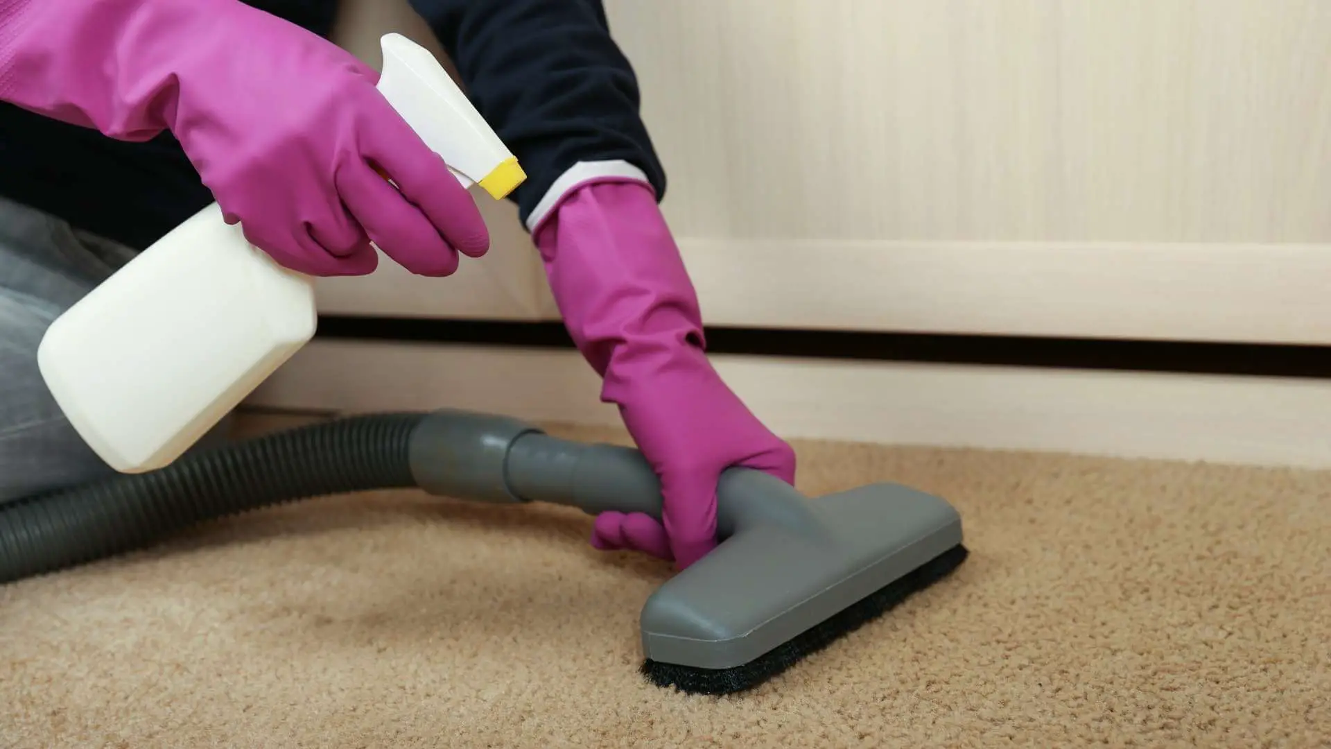 should you shampoo your carpet