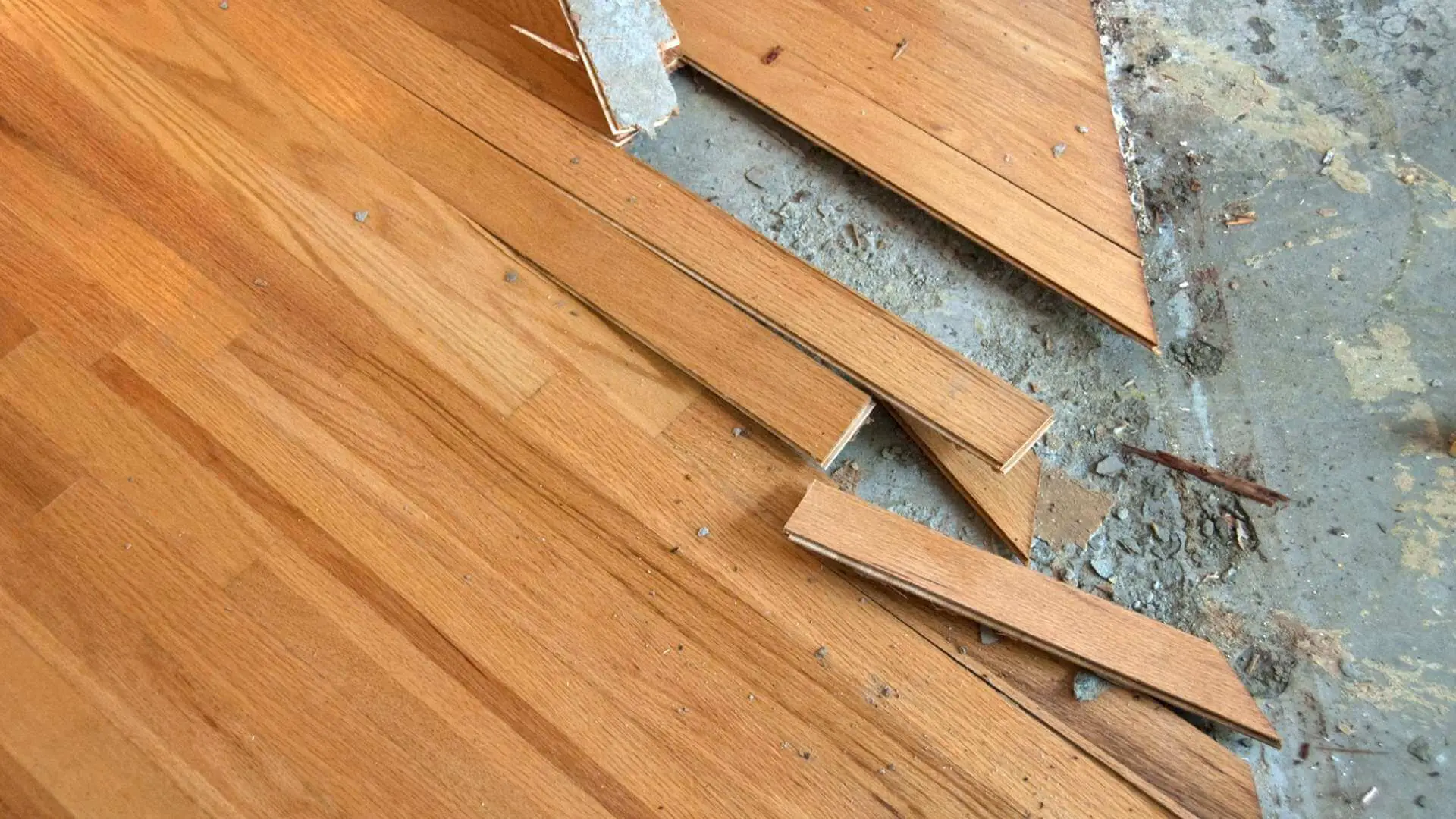 squeaky floors a structural problem